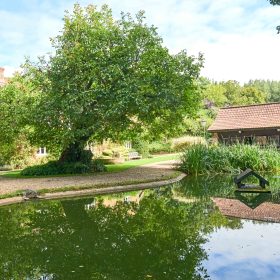 Field Lane Farm - kate & tom's Large Holiday Homes