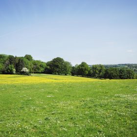 South Downs Farm - kate & tom's Large Holiday Homes