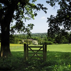 South Downs Farm - kate & tom's Large Holiday Homes