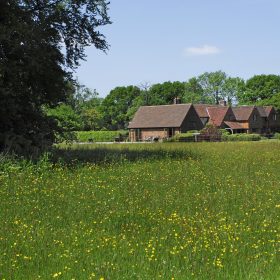 South Downs Farm and Dairy