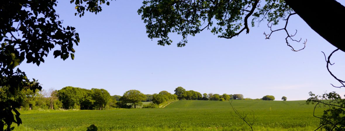 Essex - kate & tom's Large Holiday Homes