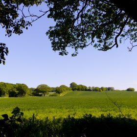 Essex - kate & tom's Large Holiday Homes