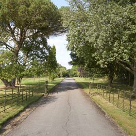 Suffolk Mansion - kate & tom's Large Holiday Homes