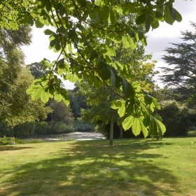 Suffolk Mansion - kate & tom's Large Holiday Homes