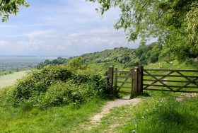 Orchard Farmhouse - kate & tom's Large Holiday Homes