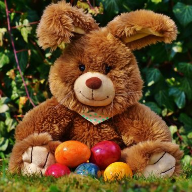Easter Weekend: The Northern Highlights - kate & tom's Large Holiday Homes