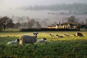 The Only Tip You Need for the Cotswolds: Get Outdoors - kate & tom's Large Holiday Homes