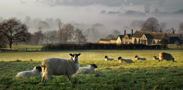 The Only Tip You Need for the Cotswolds: Get Outdoors - kate & tom's Large Holiday Homes