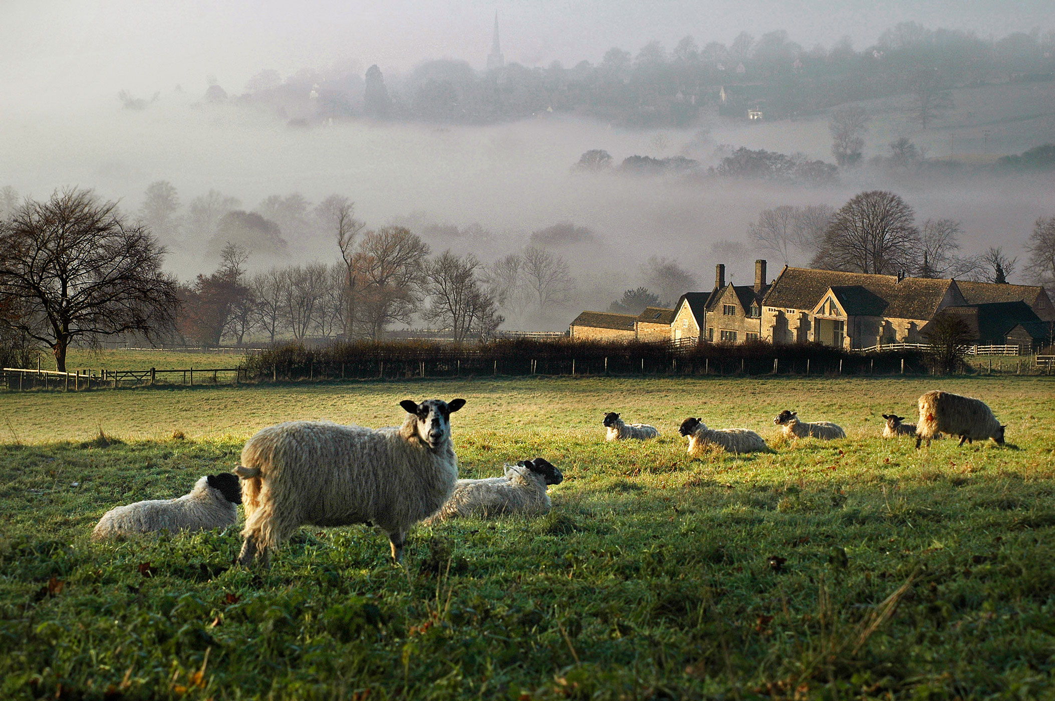 People lived living in the countryside. Котсуолдс Англия ферма. Сельская местность в Англии Котсуолд. Йоркшир Англия ферма. Котсуолдс Англия овцы.