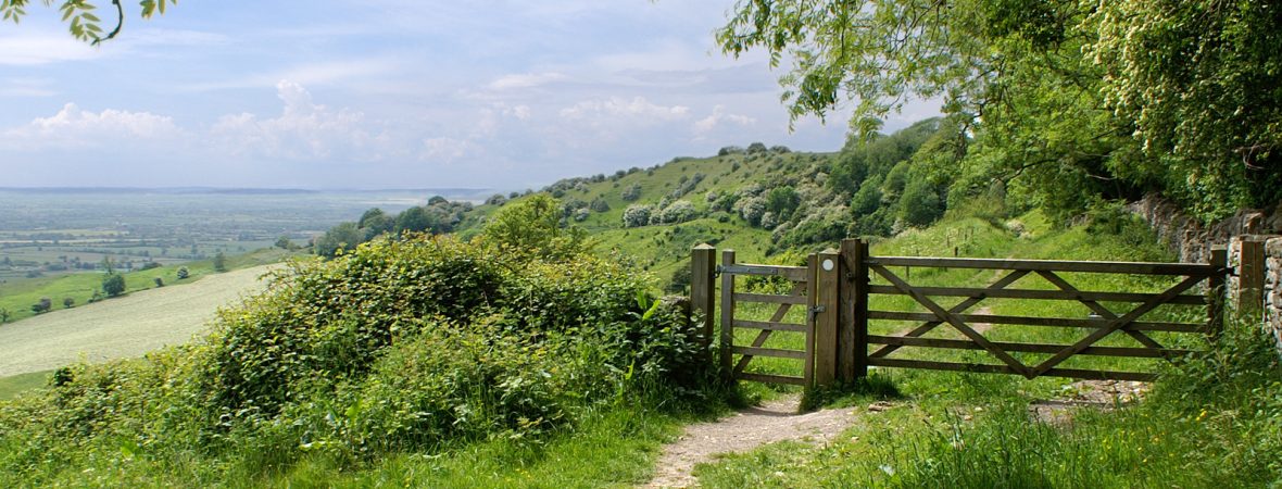 The Day I Fell in Love with the Cotswolds - kate & tom's Large Holiday Homes