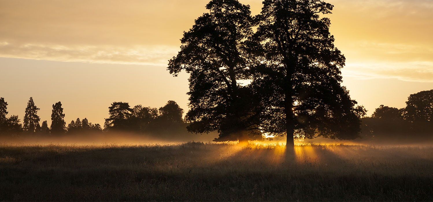 Sunset over the countryside in Berkshire.