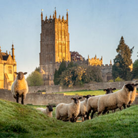 Gloucester Cathedral in the early morning.