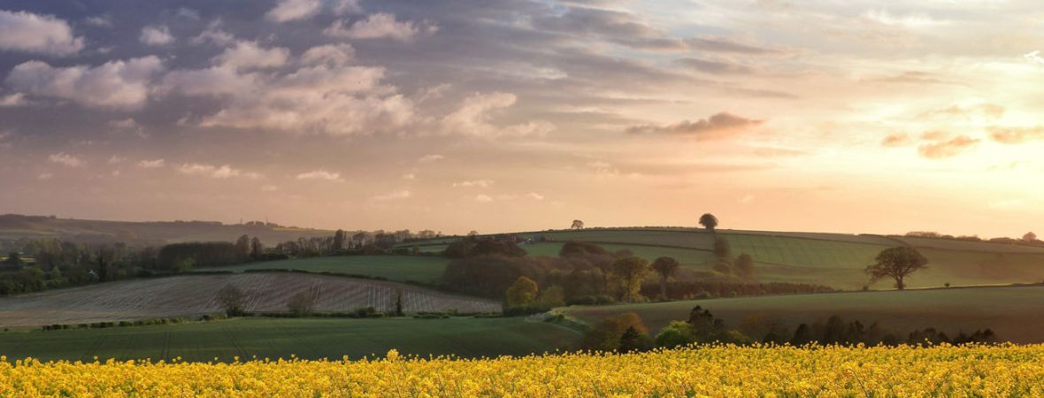 Lincolnshire field.