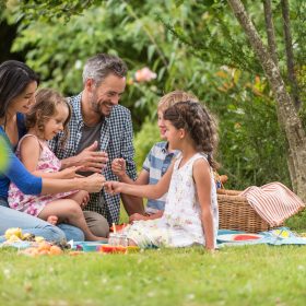 Family picnic on a sunny day.