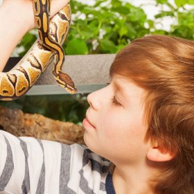 Kid with a snake around his neck.