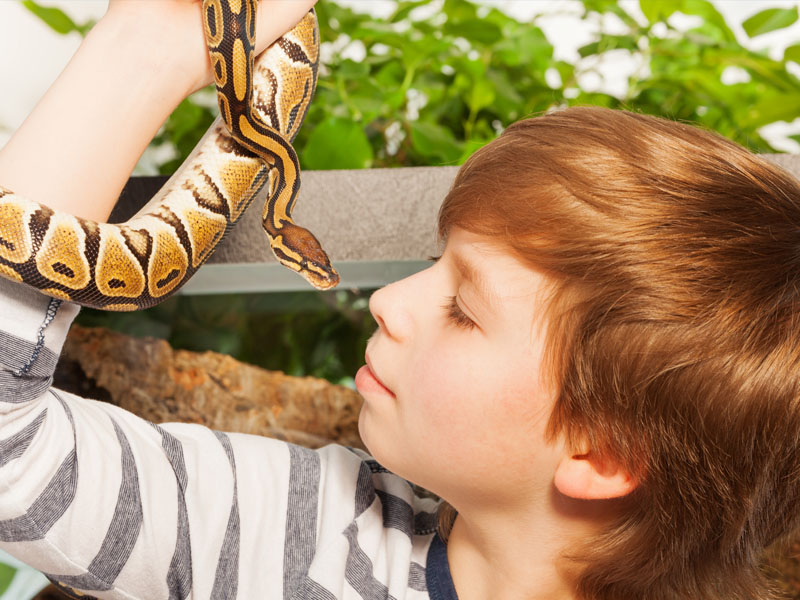 Kid with a snake around his neck.