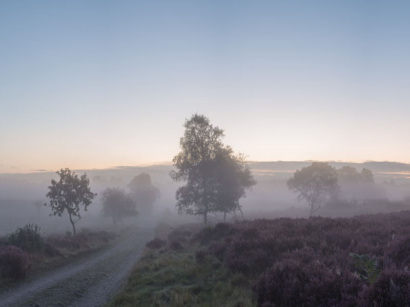 Minsmere Panoramic, Dunwich Heath at Sunrise.