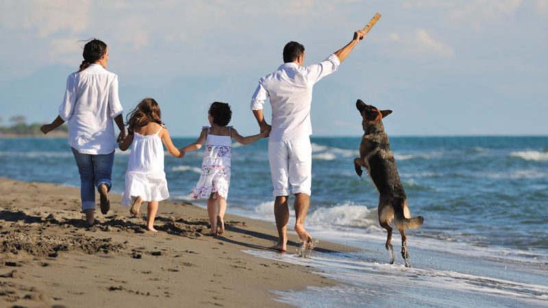 Family on a beach walking their dog.