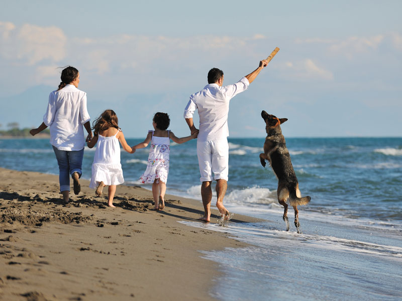 Family on a beach walking their dog.