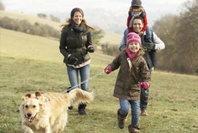 Family walking their dog.