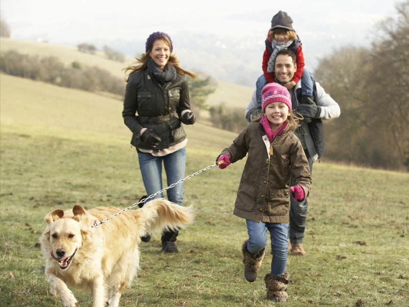 Family walking their dog.