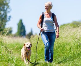 Woman with rucksack hiking with a dog in the summer.