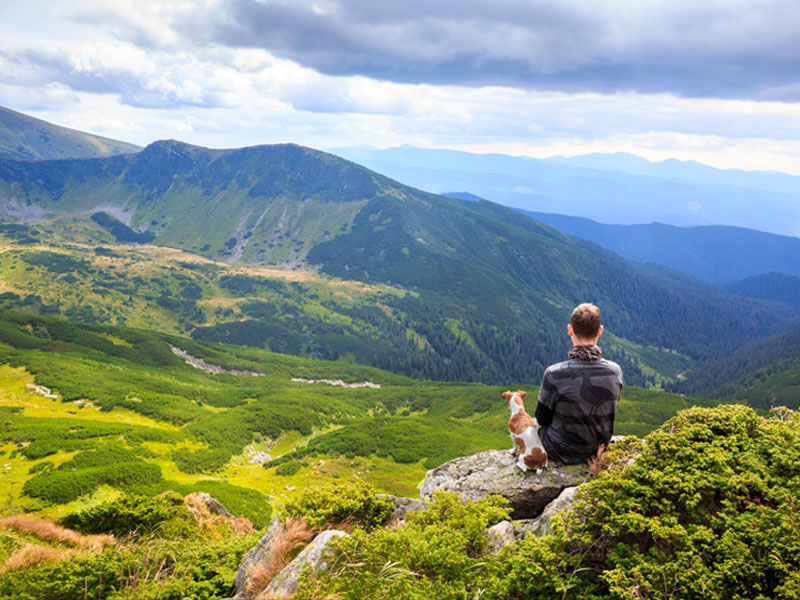 A man and his dog looking over the lake-district hills together.