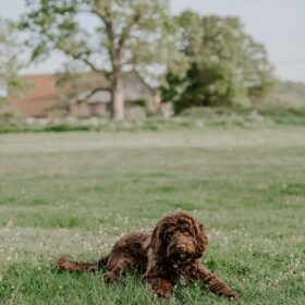 Butley Priory - kate & tom's Large Holiday Homes