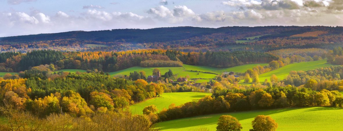 The beautiful colours of Surrey Hills