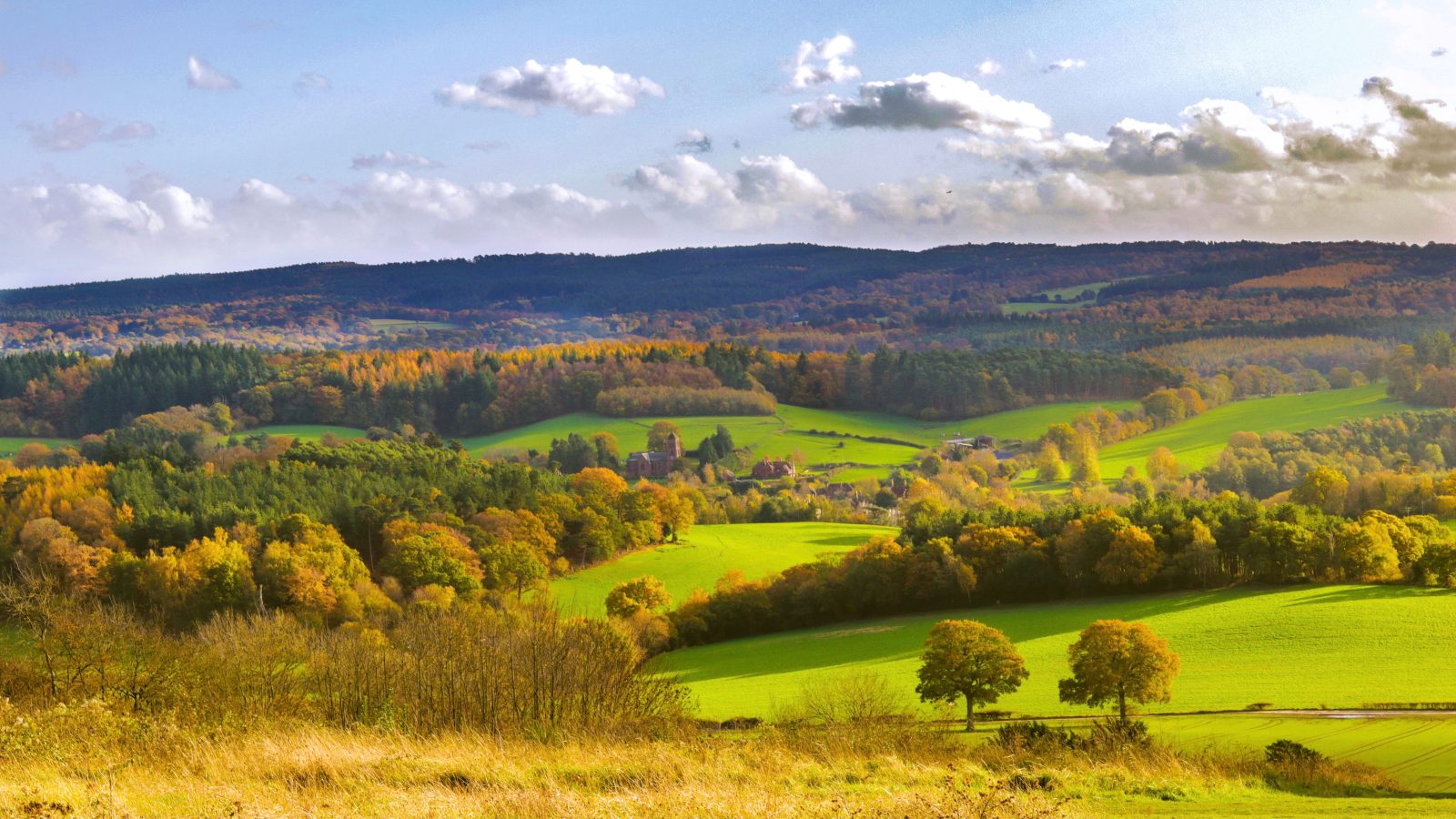 The beautiful colours of Surrey Hills