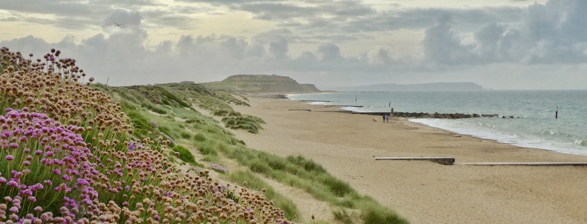 Beach Hideaway - kate & tom's Large Holiday Homes