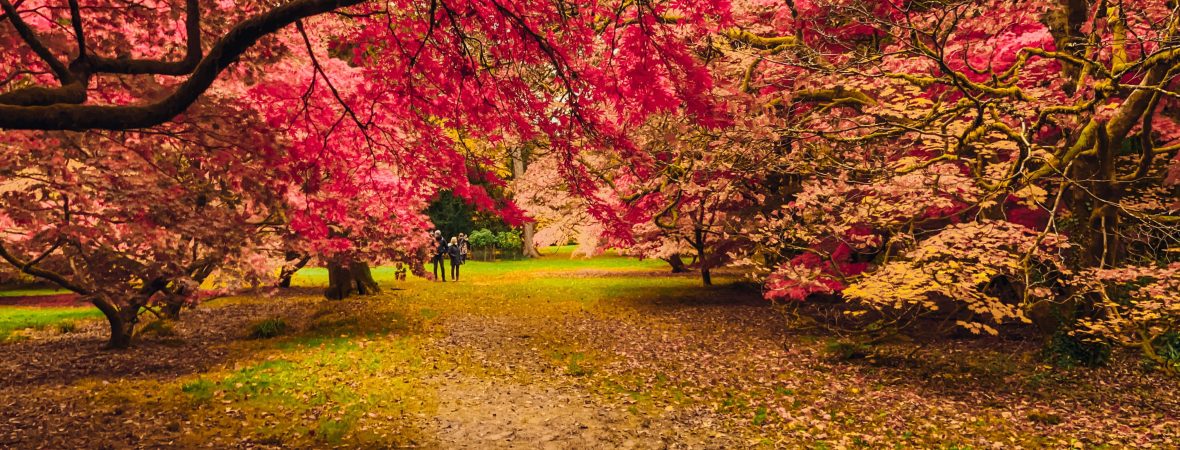 Westonbirt Arboretum - kate & tom's Large Holiday Homes