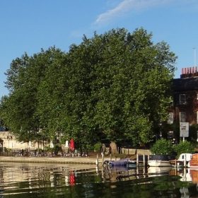 Luxury cottages in Henley on Thames