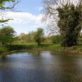 West End Farm - kate & tom's Large Holiday Homes