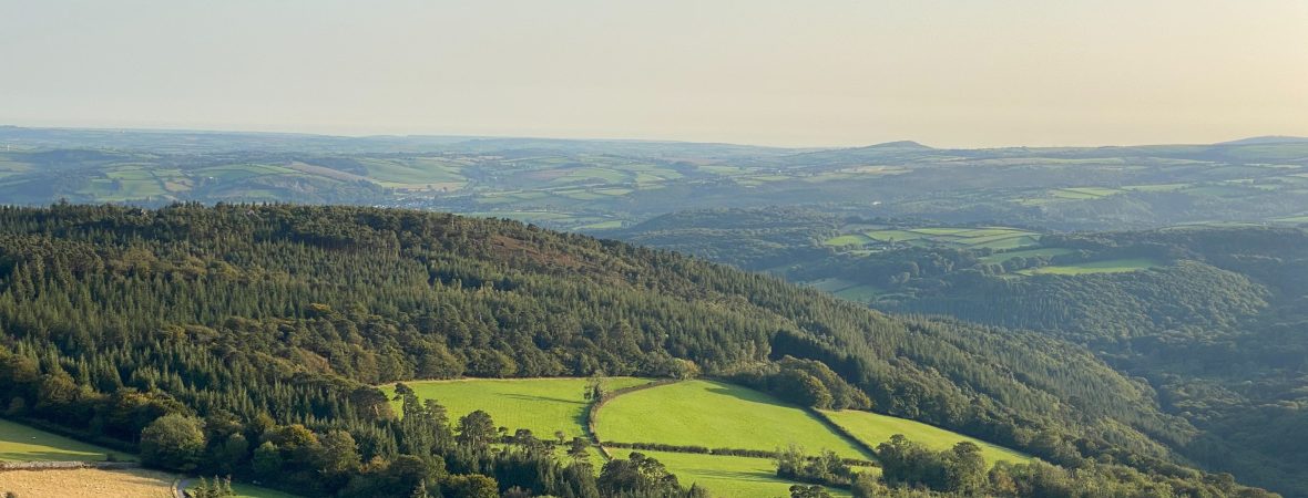 Self-Catering Holiday Cottages in Dartmoor - kate & tom's Large Holiday Homes