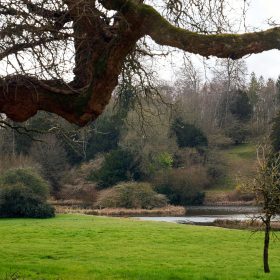 Beside the Lake - kate & tom's Large Holiday Homes