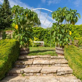 Coach House Cottages - kate & tom's Large Holiday Homes