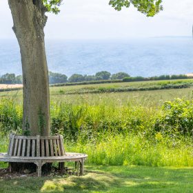 Jurassic View - kate & tom's Large Holiday Homes