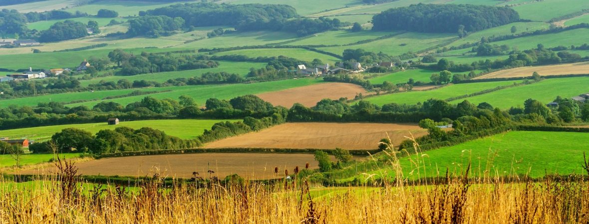 Dorset Countryside - kate & tom's Large Holiday Homes