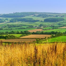 Dorset Countryside - kate & tom's Large Holiday Homes