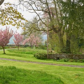 The Brecon Pink House - kate & tom's Large Holiday Homes