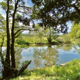 Crackenthorpe Hall - kate & tom's Large Holiday Homes