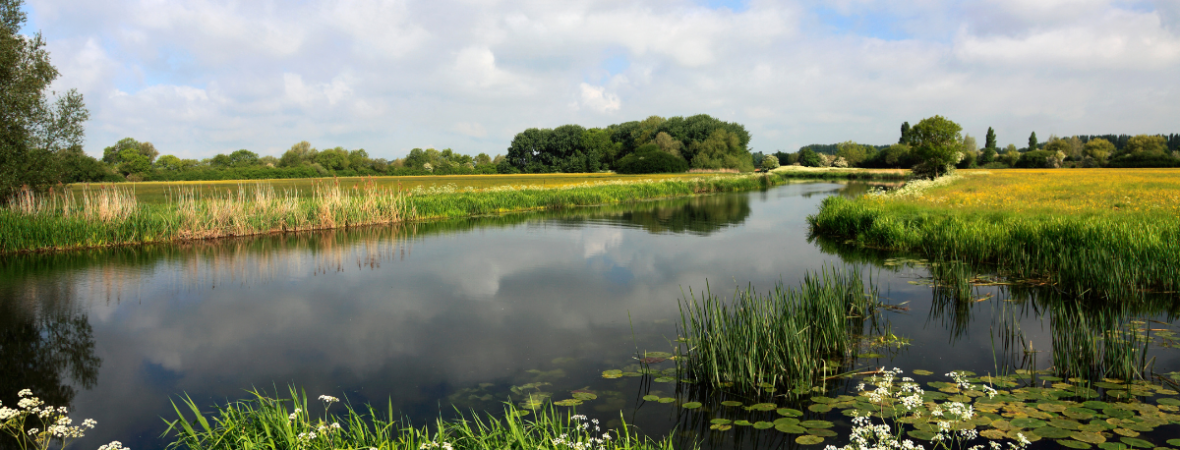 River Nene - kate & tom's Large Holiday Homes