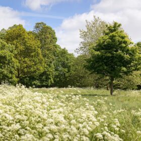 Walled Garden Cottages - kate & tom's Large Holiday Homes