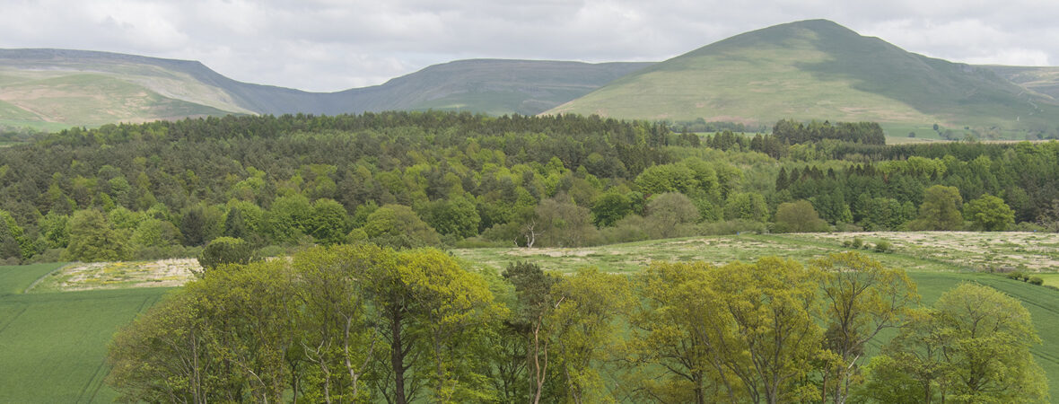 Westmorland Lodge - kate & tom's Large Holiday Homes