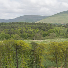 Westmorland Lodge - kate & tom's Large Holiday Homes