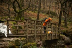 Snowdonia - kate & tom's Large Holiday Homes